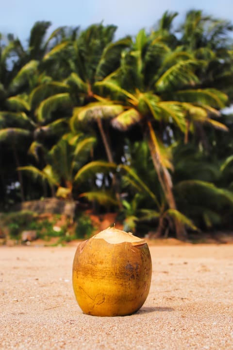 Strand Hotel Bentota Village