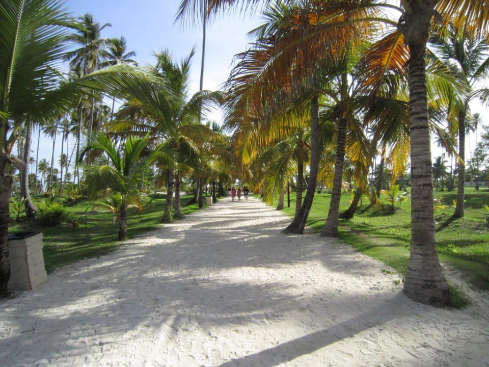 Der Weg zum Strand Villas Bavaro Resort & Spa