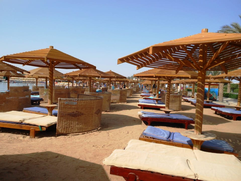 Die Liegen am Stand SUNRISE Royal Makadi Resort