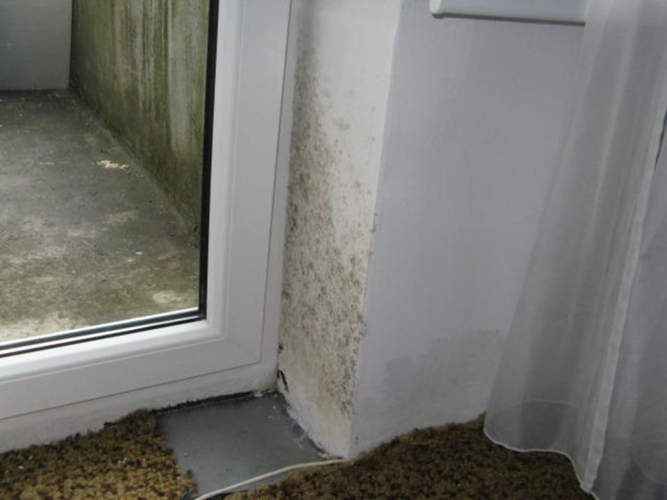 Ściana przy balkonie Hotel Tulipan