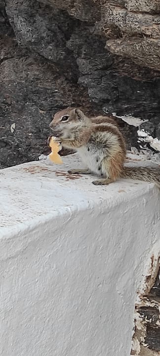 Sonstiges R2 Romantic Fantasia Suites - Adults only