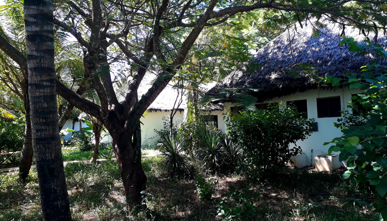 Gartenanlage Spice Island Hotel & Resort