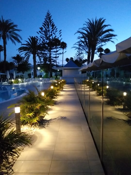 Pool Canary Garden Club