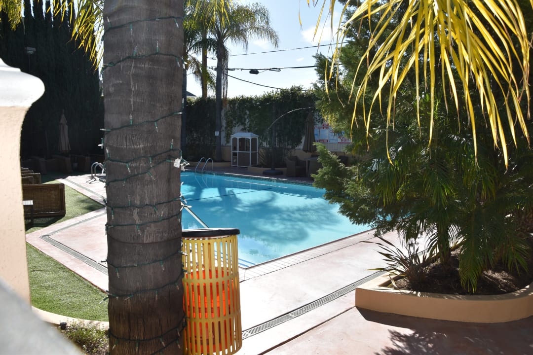 Pool Hollywood Hotel - The Hotel of Hollywood