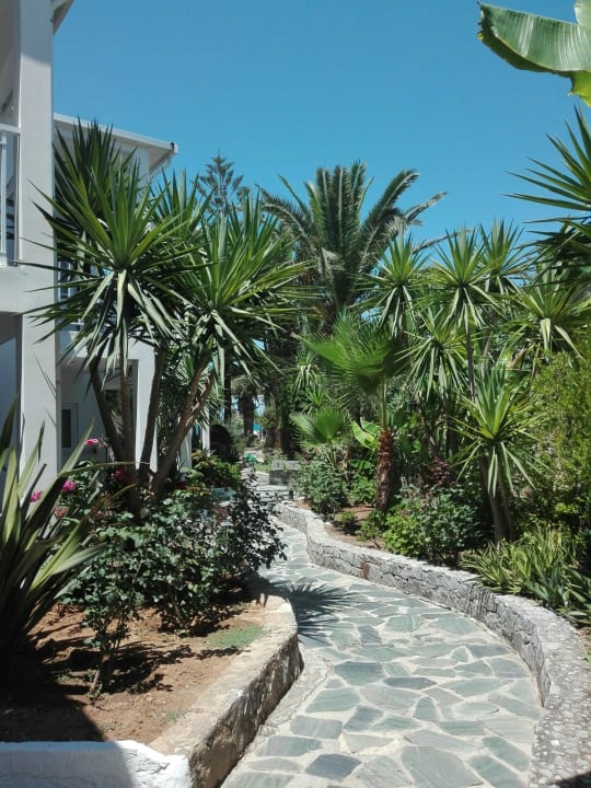 Gartenanlage HARPIN Happy Days Beach Hotel