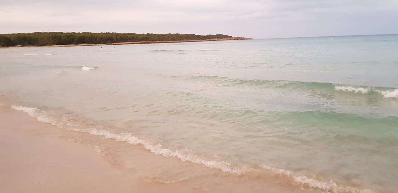 Strand Hipotels Mediterraneo Garden