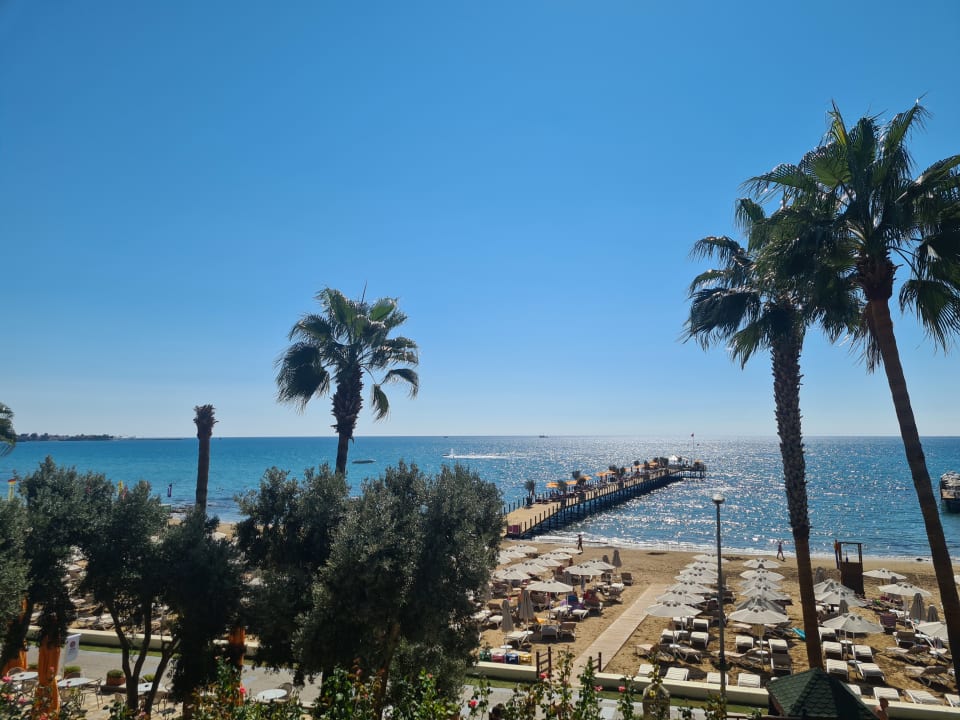 Ausblick Arum Barut Collection