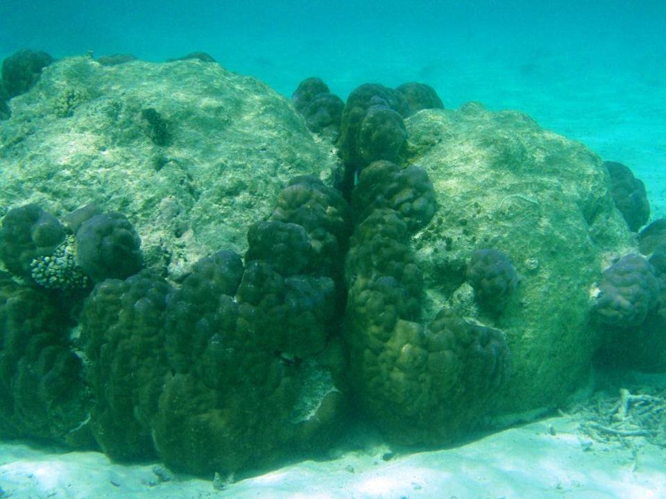 Unterwasser Embudu Village