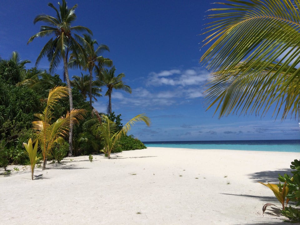 Vom Pool aus Safari Island Maldives