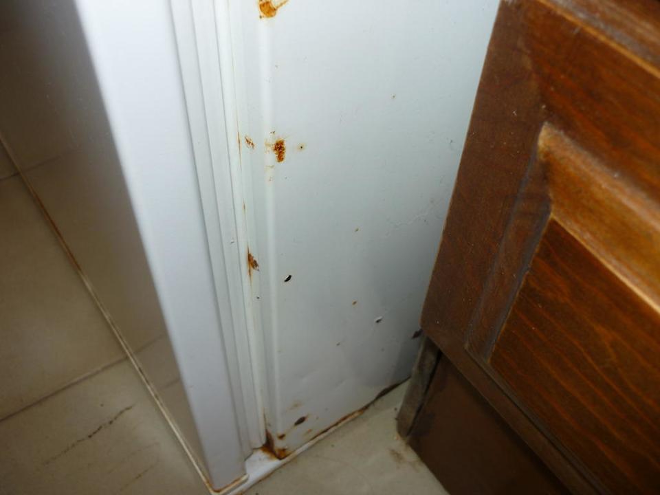 Und noch mehr Rost Hotel Pinoverde del Golf