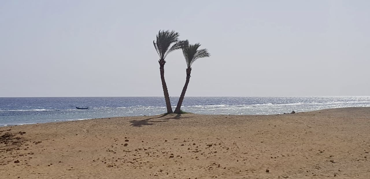 Strand Malikia Resort Abu Dabbab