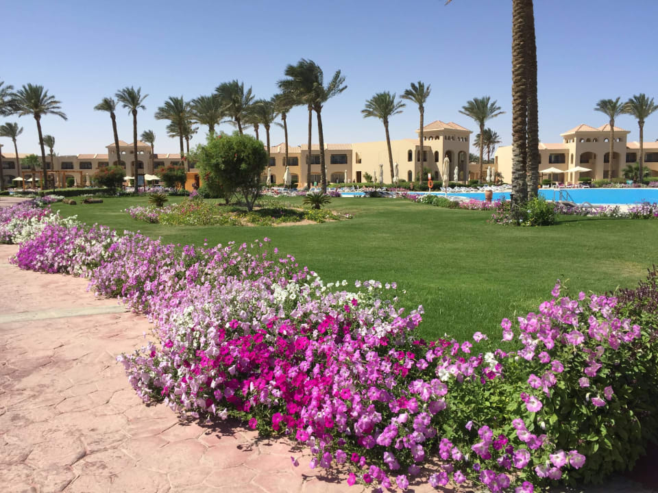 Palmen und me(h)r Cleopatra Luxury Resort Makadi Bay