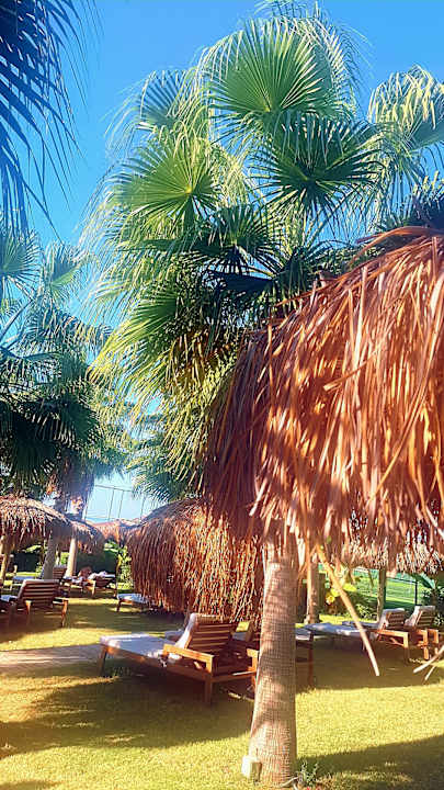 Gartenanlage Rubi Platinum Sign