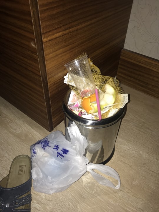 Zimmer Well Palace Side