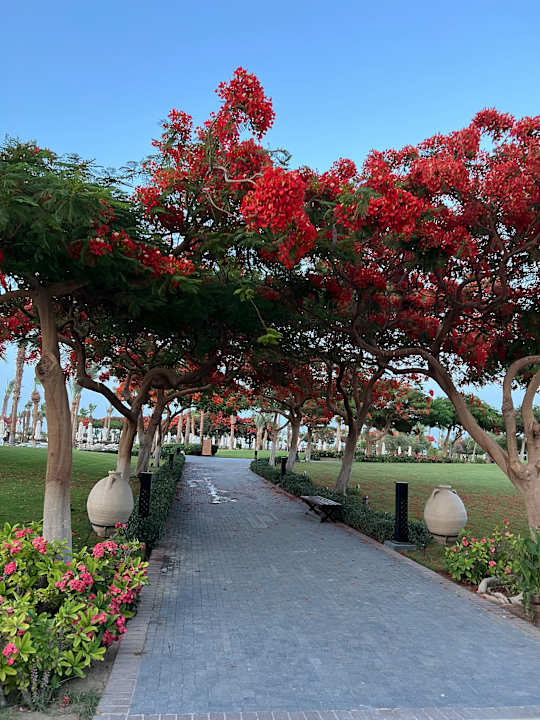 Gartenanlage Steigenberger ALDAU Beach Hotel