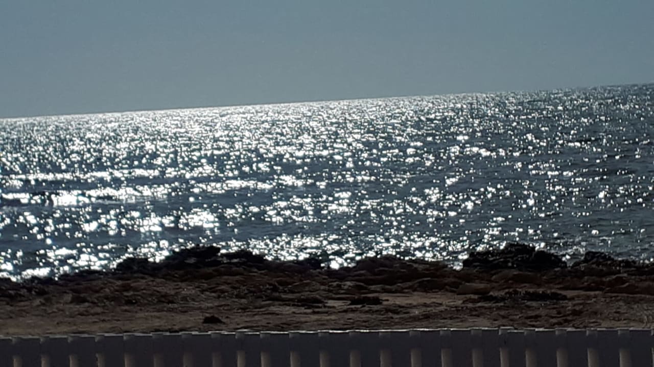 Strand Hotel El Mouradi Djerba Menzel