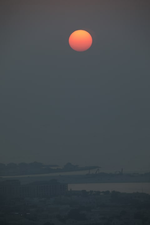 Ausblick Rose Rayhaan by Rotana