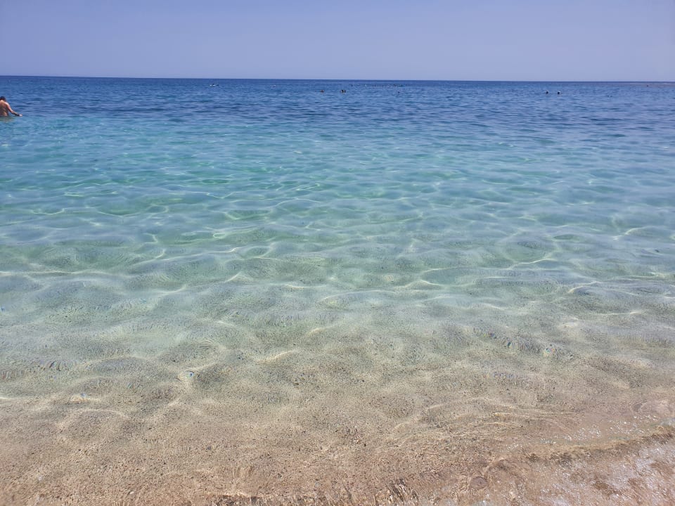 Strand Malikia Resort Abu Dabbab