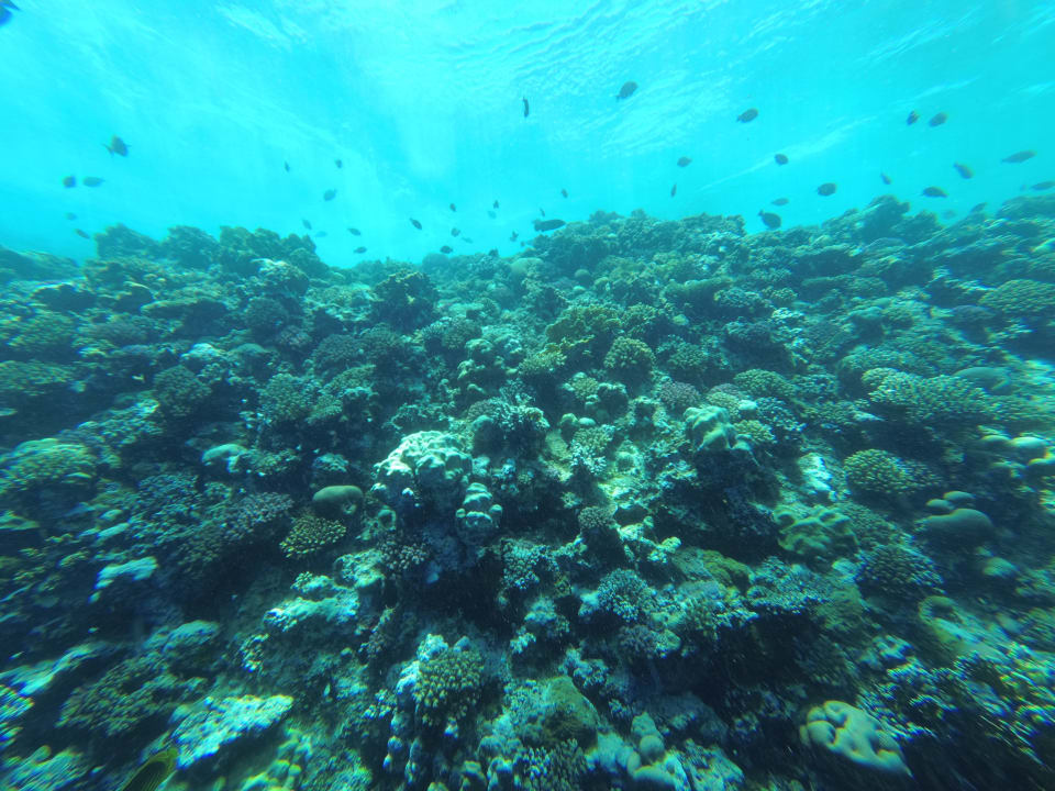 Strand Akassia Swiss Resort