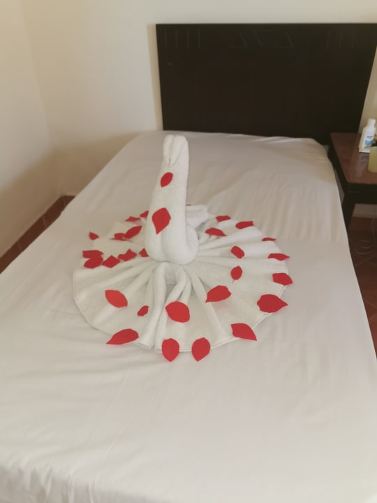 Zimmer Three Corners Sea Beach Resort