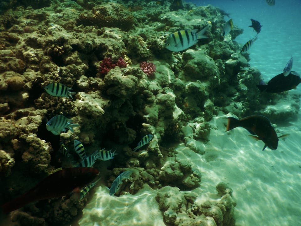 Sport & Freizeit Grand Makadi