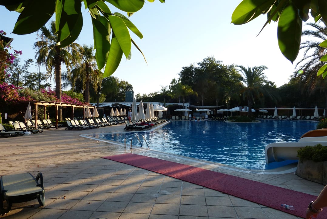 Abendlicher Pool Side Star Elegance