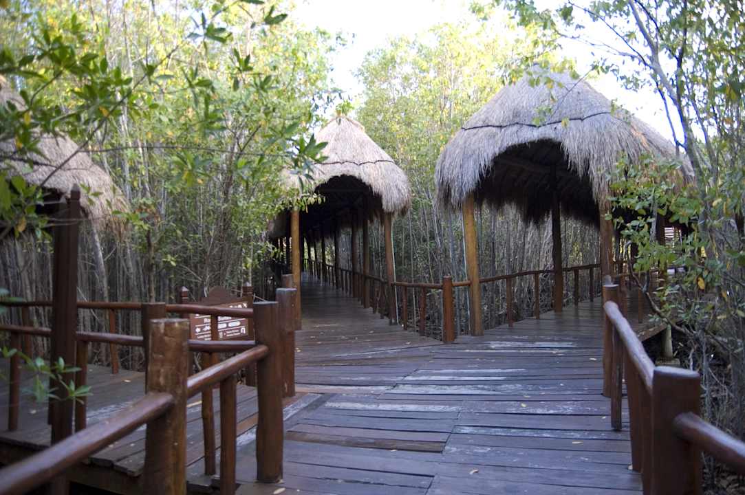 Stege im White Sands/Royal Suites Grand Palladium Kantenah Resort & Spa