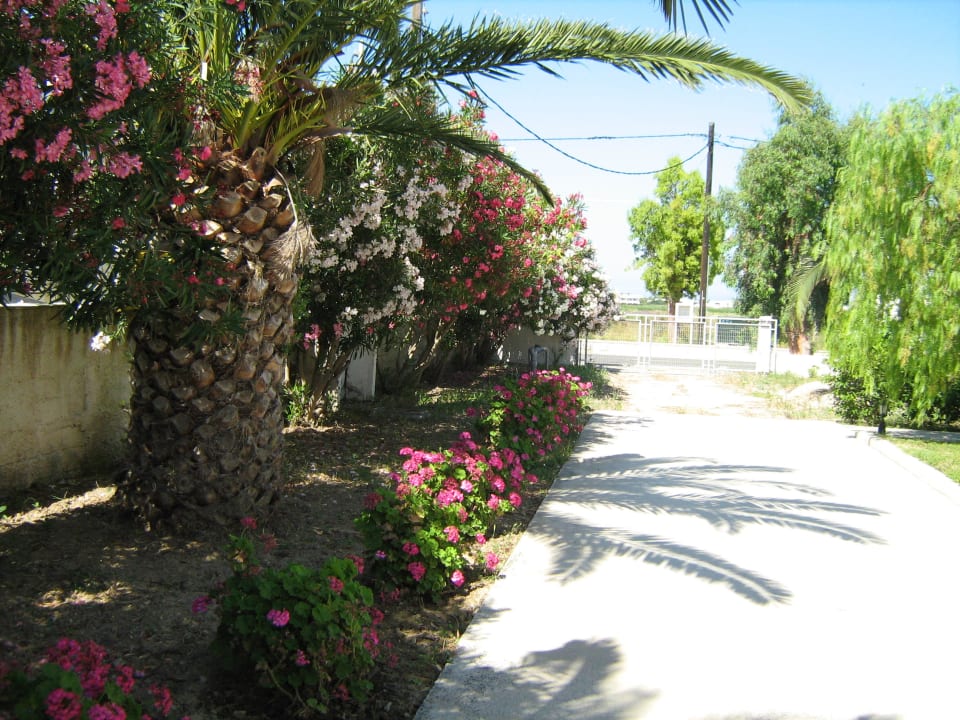 Tolle Bepflanzung Hotel Esperia