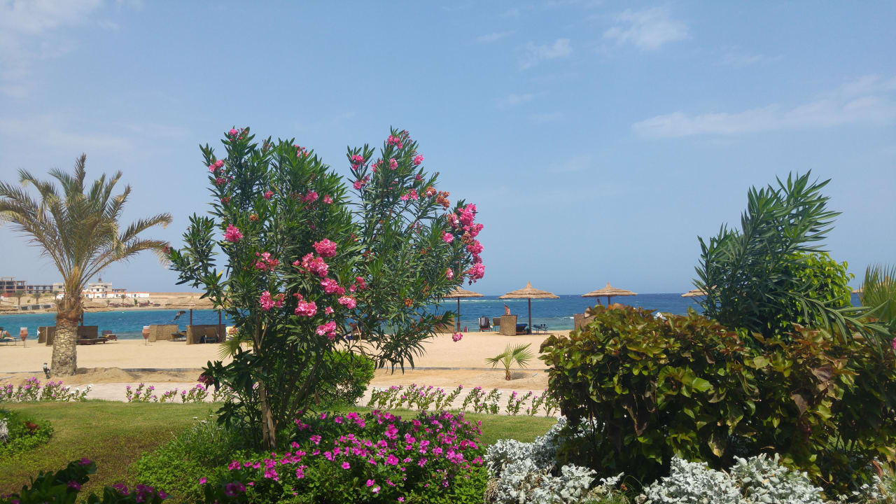 Barbereich Coral Sun Beach