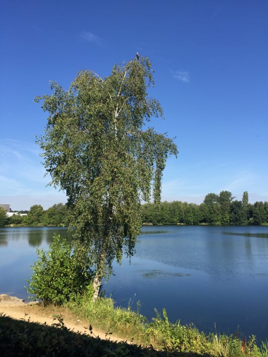 Ausblick See Park Janssen