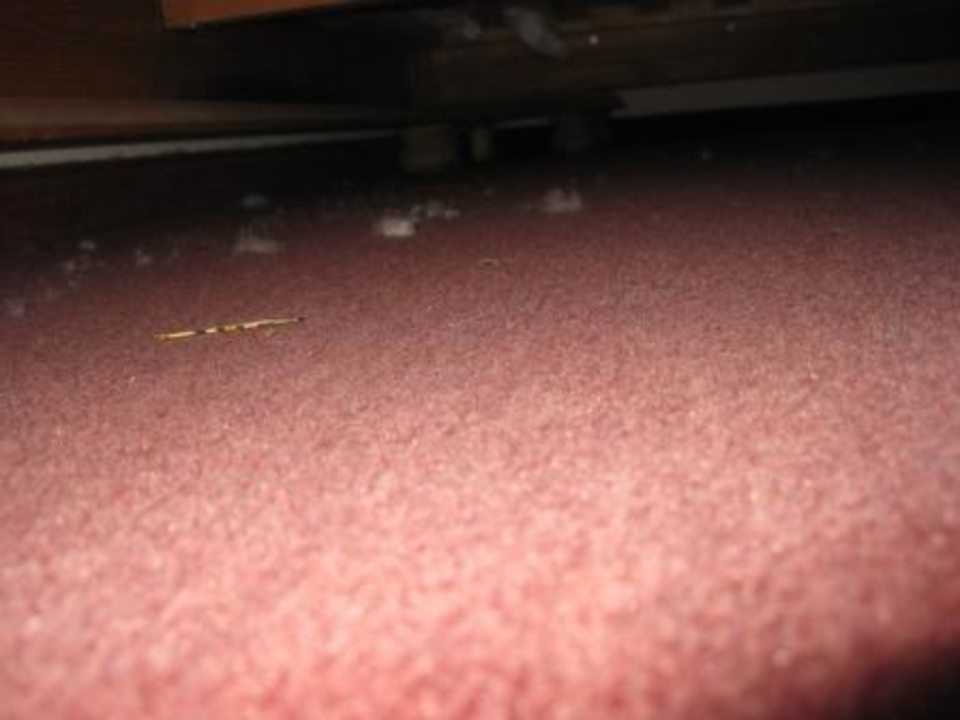 Blick unters Bett! Alphotel Tyrol