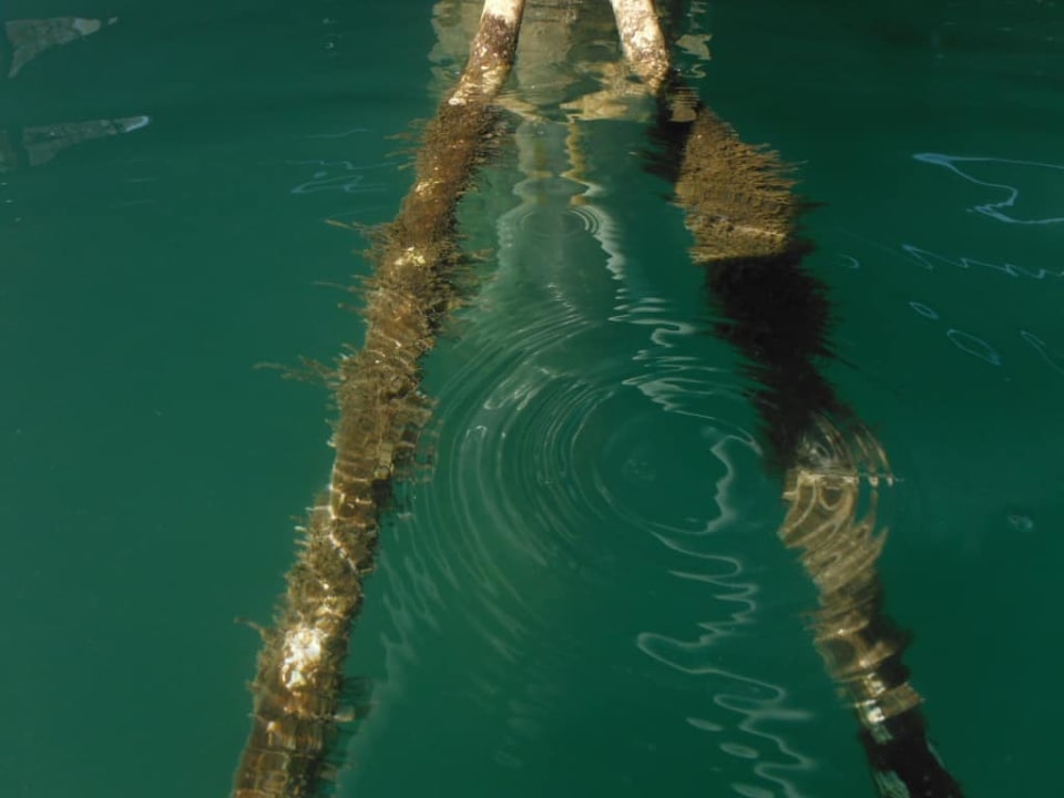 Plaża pomost molo Royal Seginus