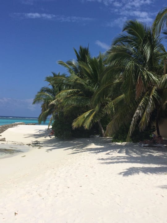 Strand Summer Island Maldives