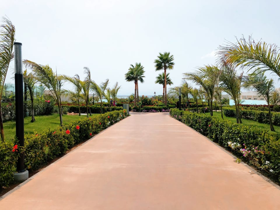 Gartenanlage Hotel Riu Palace Boavista