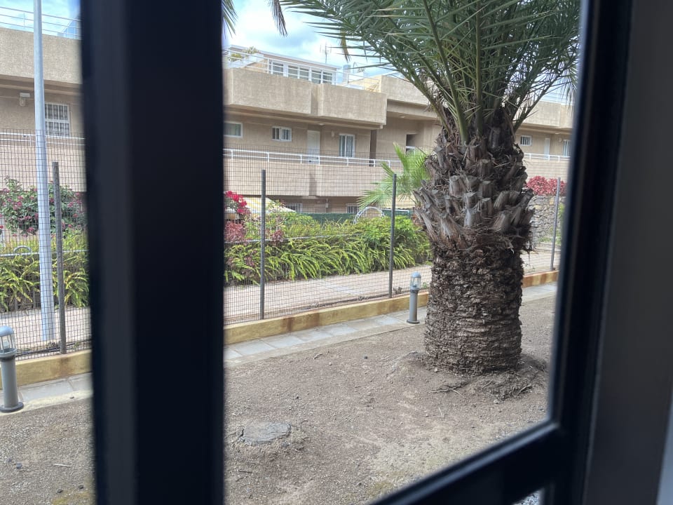 Zimmer AluaSoul Orotava Valley