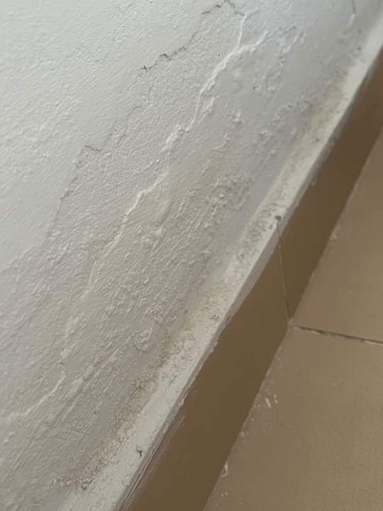 Zimmer Royal Star Beach Resort