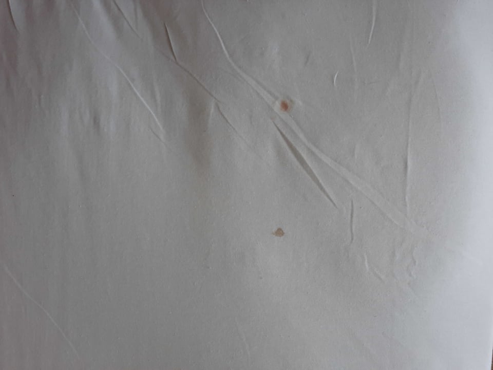 Zimmer Dg Hotels Rose Resort