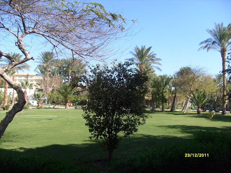 Blick vom Balkon Shams Safaga Resort