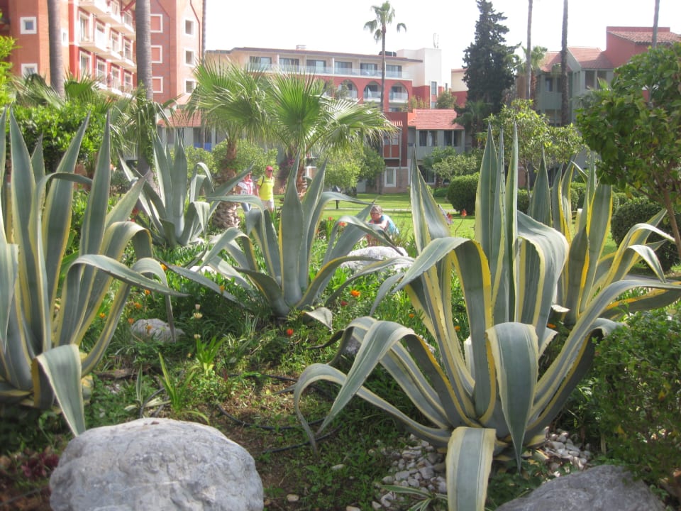 Gartenanlage Megasaray Club Belek