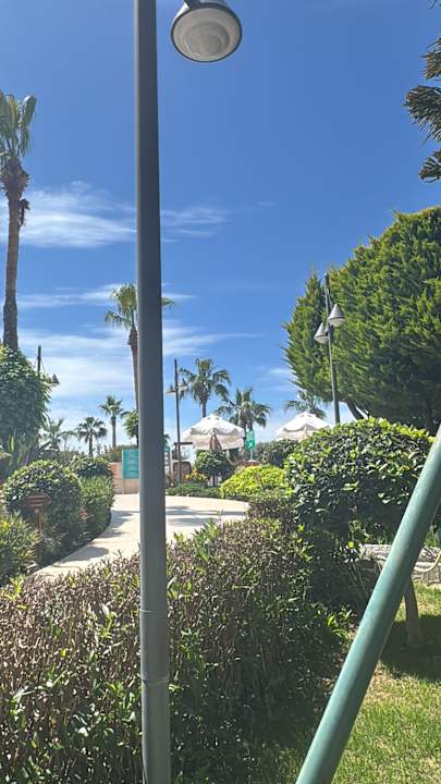 Gartenanlage Commodore Elite Suites & Spa - Adults only
