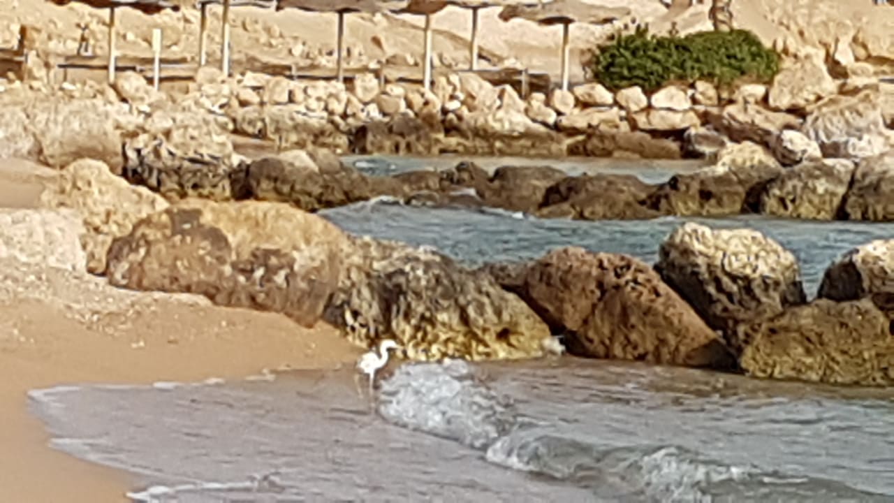 Strand Pickalbatros Citadel Resort