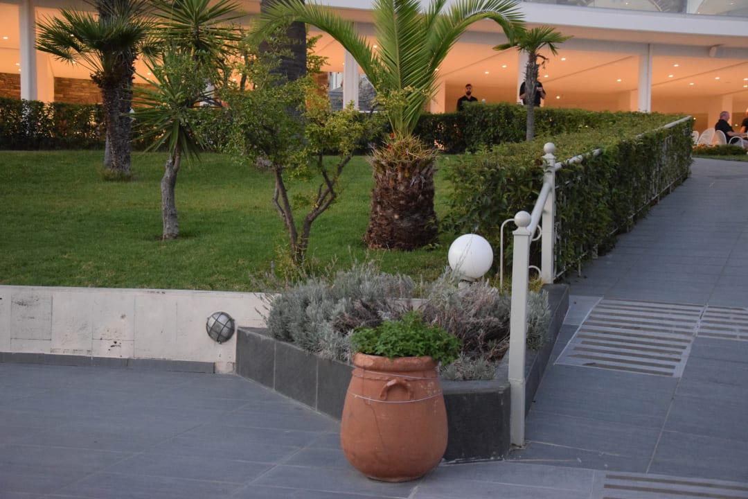 Gartenanlage Akrathos Beach Hotel
