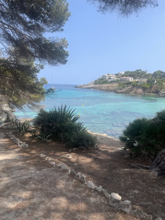 Ausblick Iberostar Waves Pinos Park