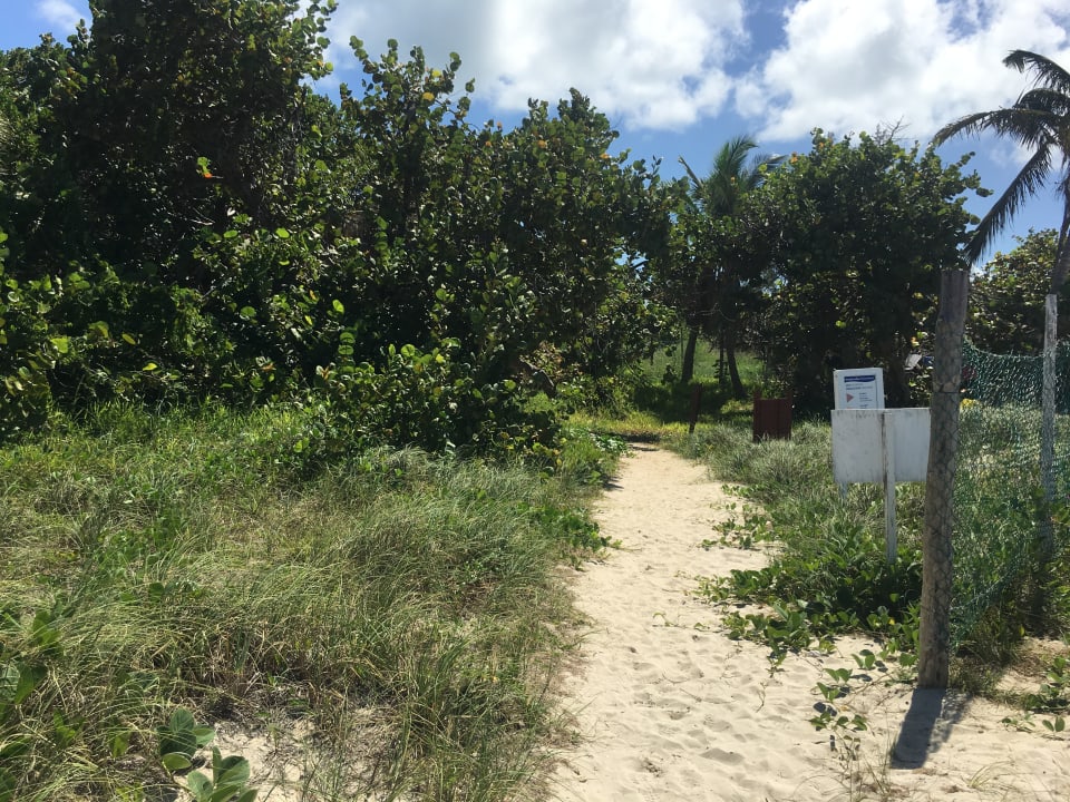 Gartenanlage Melia Las Antillas - Adults only