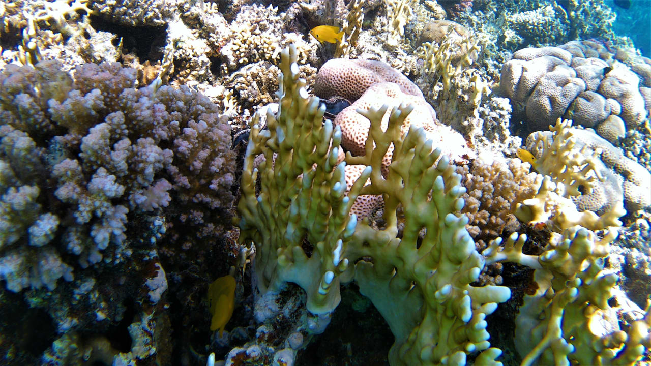 Sport & Freizeit Makadi Spa - Adults only