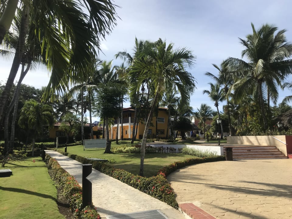 Cat. Dominicus Catalonia Royal La Romana - Adults only