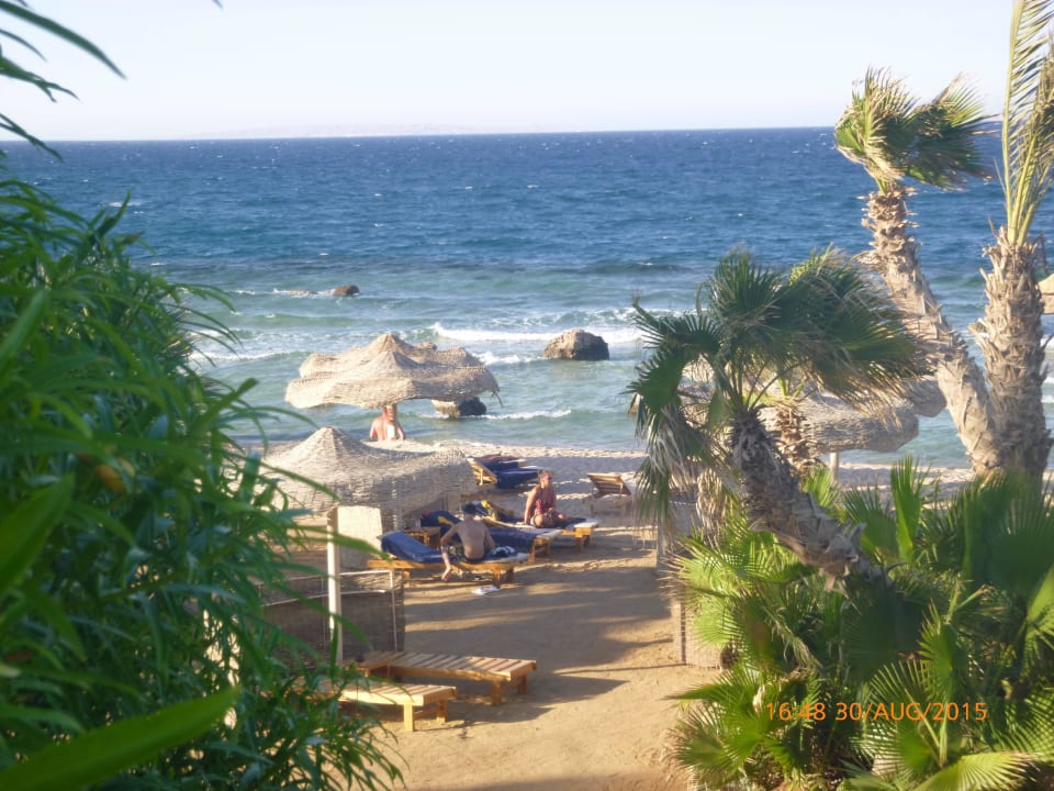 Palmenstrand Pickalbatros Citadel Resort