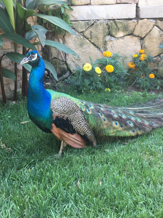 Sonstiges Seaden Corolla Hotel