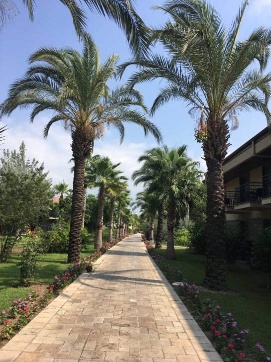 Gartenanlage TUI BLUE Palm Garden