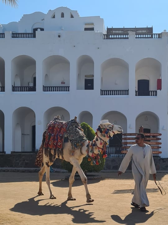 Außenansicht Arabella Azur Resort